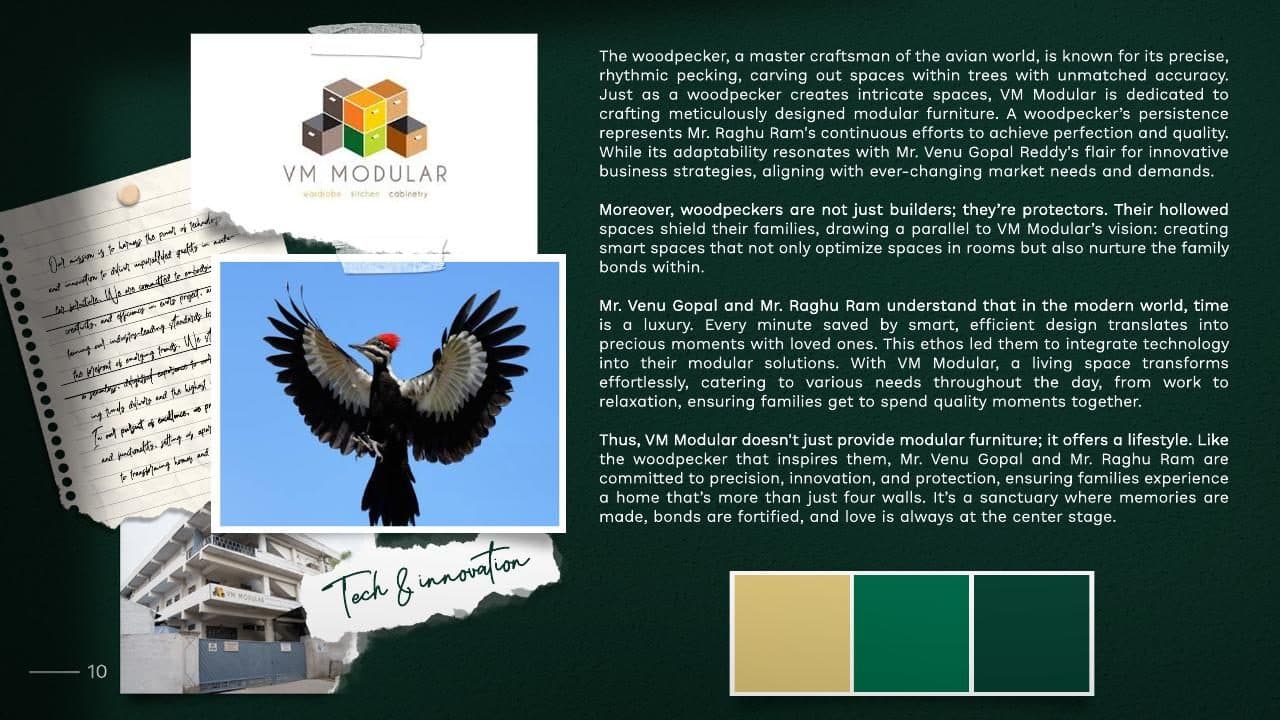 Why the woodpecker